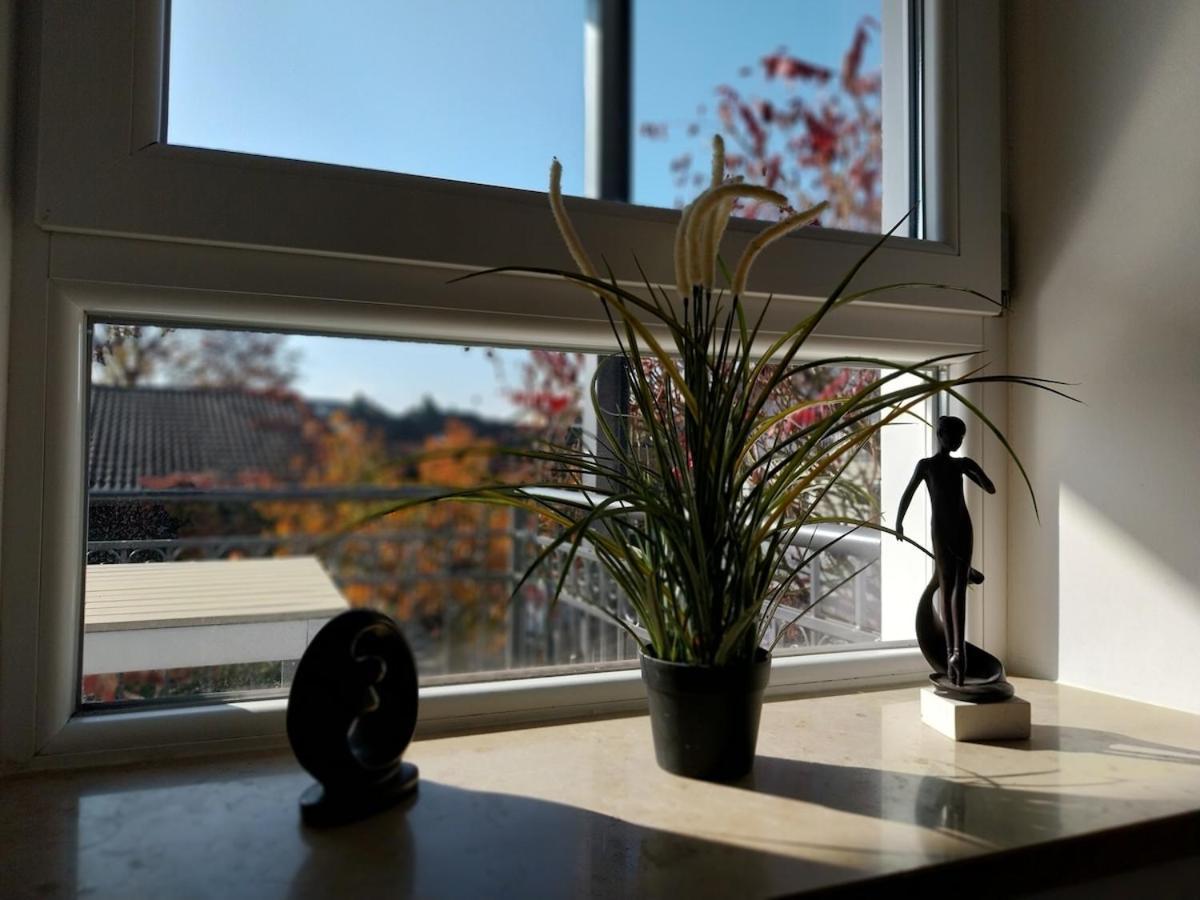 Bad Aibling City Apartment - Alpenblick מראה חיצוני תמונה